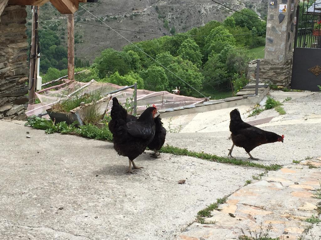 Lo Paller De Roc Montescladó Exteriér fotografie